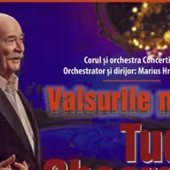 Concert Tudor Gheorghe