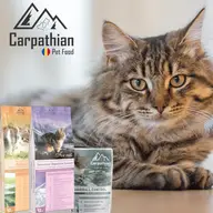 Distribuitor mancare pisici - Carpathians Pet Food