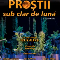 Prostii sub clar de luna
