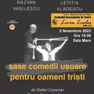 Sase comedii usoare pentru oameni tristi