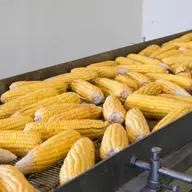 Cele mai frecvente greșeli în montarea curelelor de transmisie agricole și cum să le eviți
