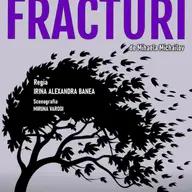 Fracturi