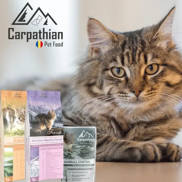 Distribuitor mancare pisici - Carpathians Pet Food