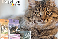 Distribuitor mancare pisici - Carpathians Pet Food